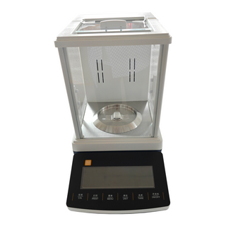 Electronic Balance